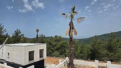 Kisebükü'nde Çam Ormanı İçinde Özel Havuzlu 3+1 Müstakil Villa